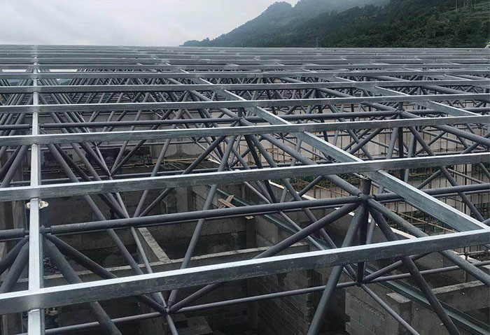 姜堰学校艺体楼网架
